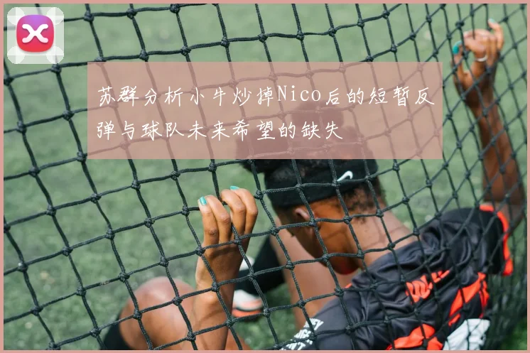 苏群分析小牛炒掉Nico后的短暂反弹与球队未来希望的缺失