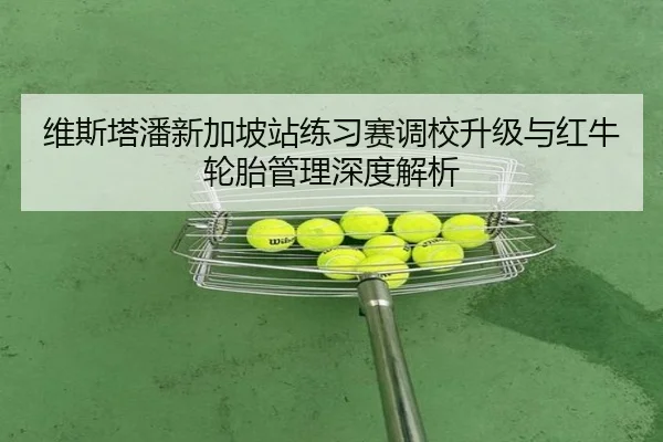 维斯塔潘新加坡站练习赛调校升级与红牛轮胎管理深度解析